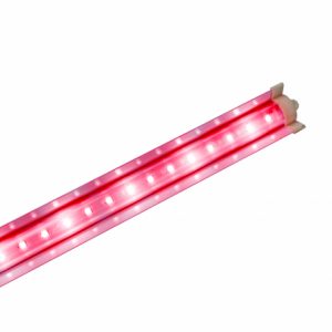 Đèn LED chuyên dụng trồng rau LED TRR 12025W-100% RED