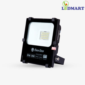 Đèn LED chiếu pha 30W Rạng Đông CP06