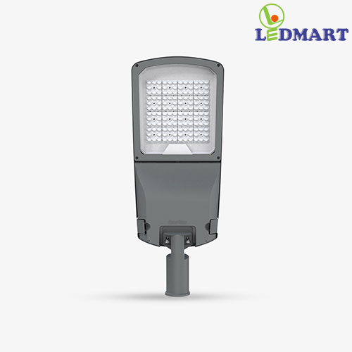 den-chieu-sang-duong-pho-250W-rang-dong-CSD10